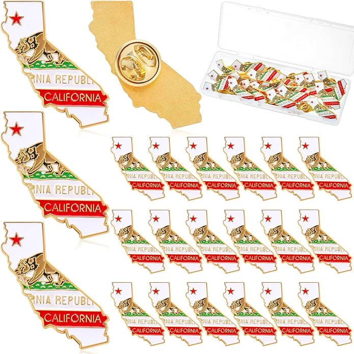 25 Pcs USA State Lapel Pins Bulk Texas California Florida Tennessee South Carolina Patriotic Traveler Souvenir Gifts