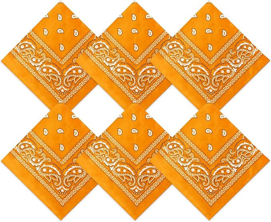 Blulu 6 Pcs Neon Color Cowboy Bandanas for Men Women Assorted Paisley Pattern Handkerchiefs 22 x 22 Inch Kids Headwrap Scarfs