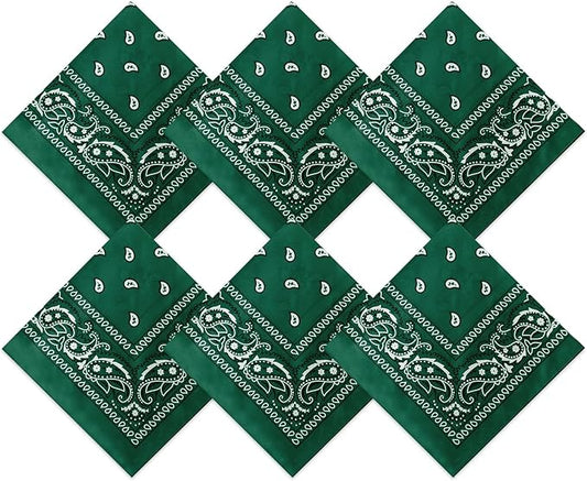 Blulu 6 Pcs Neon Color Cowboy Bandanas for Men Women Assorted Paisley Pattern Handkerchiefs 22 x 22 Inch Kids Headwrap Scarfs
