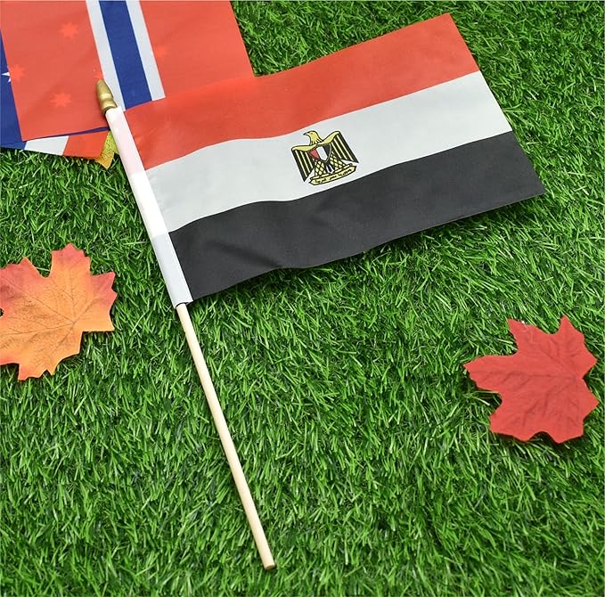 25Pack Small Egypt Flag Handheld Mini Egyptian Flags on Stick 5x8 Inch